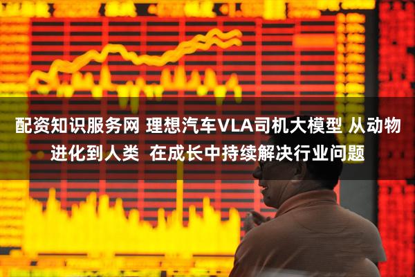 配资知识服务网 理想汽车VLA司机大模型 从动物进化到人类  在成长中持续解决行业问题